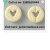 diazepam no prescription:- https://uspills.store/product-category/valium/
