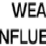 Wealthy Influencers