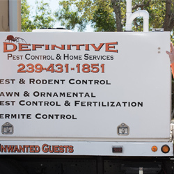 Definitive Pest Control