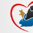 We Love All Animals