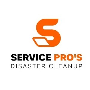 Services Pros of Anderson