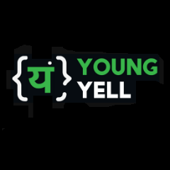 Young Yell- Digital Marketing Company in Chandigarh