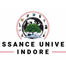 Renaissance University
