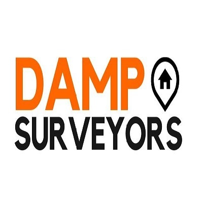 Damp surveyors
