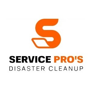 Services Pros of Roswell