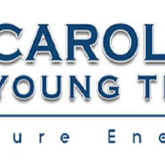 Carolyn Young Team - Realtor - Leesburg, VA