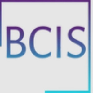 BC Investigative Services