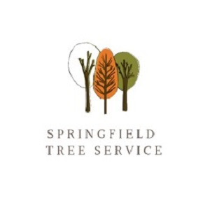Springfield Tree Service Pros