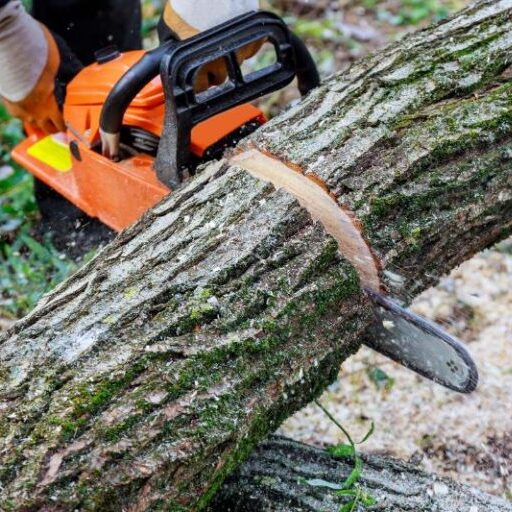 Ann Arbor Tree Service