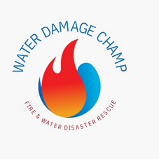 Water Damage Champ