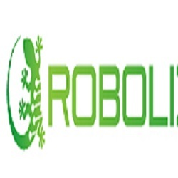 Robolizard