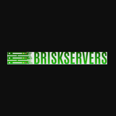 Brisk Servers