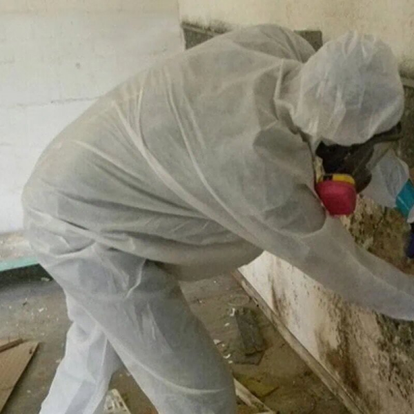 Asbestos & Biological