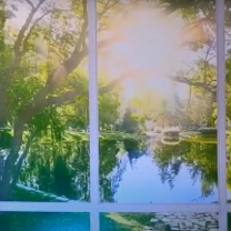 Mural companies New York