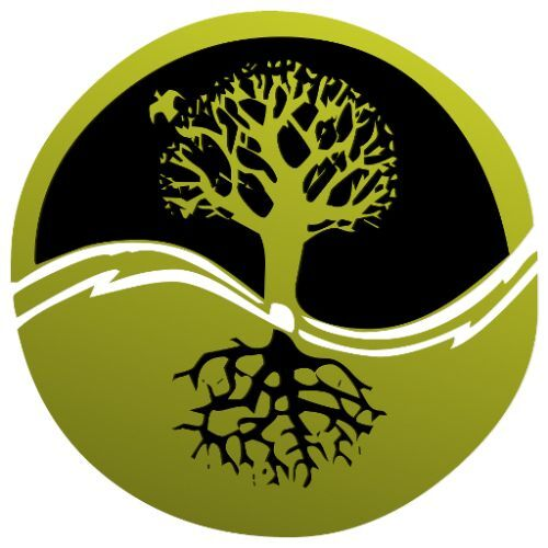 Complete Tree Surgeons Chepstow