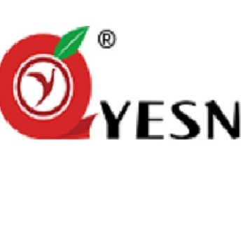 YESN China compatible Labels manufacturer