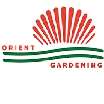 OrientGardening.com offers wholesale pachira plants for sale