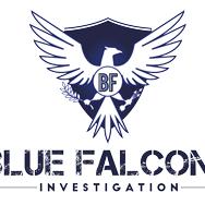 Blue Falcons Investigation