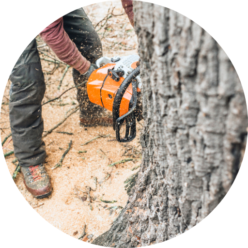 Tree Service Kalamazoo MI