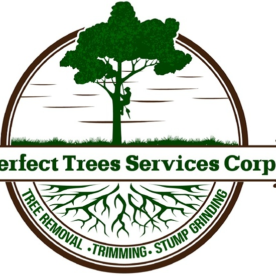 Perfect Trees Services Corp