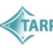 Tarpaulin Store Uk - Startupxplore Tarpaulin Store Uk