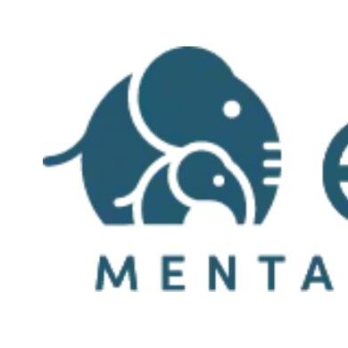 Ellie Mental Health Counseling & Therapy