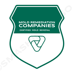 Atlanta Mold Remediation Pros