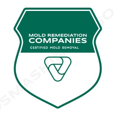 San Diego Mold Remediation Pros