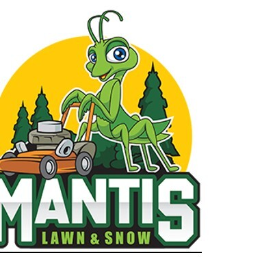 mantislawnandsnow.com