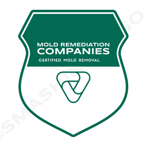 Tampa Mold Remediation Pros