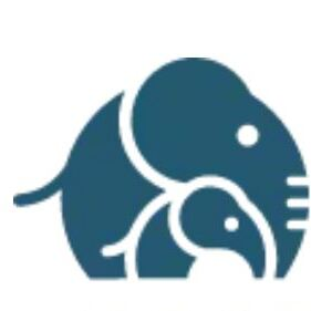 Ellie Mental Health Counseling Services