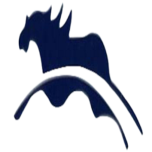 Jinhua Feima Bag Co., Ltd.