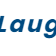 Laughlin Business Credit Advisors