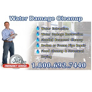Water Damage Cleanup Pros of Needham