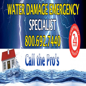 Water Damage Cleanup Pros of Edison