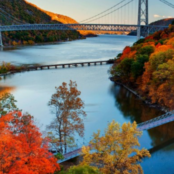 Top Tier Mortgage Solutions LLC