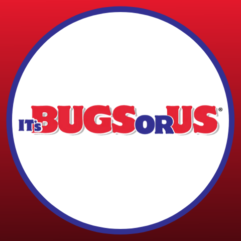 It's Bugs Or Us Pest Control - Houston