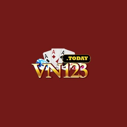 VN123