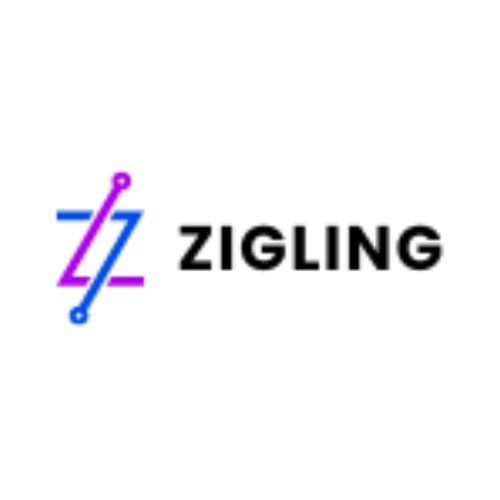ZigLing Agency
