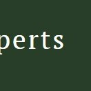 St. Pete Tree Experts
