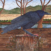 Wildlife Paintings by Kathryn Lehotsky