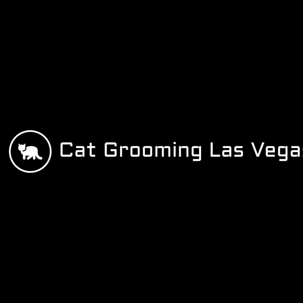 Cat Grooming Las Vegas
