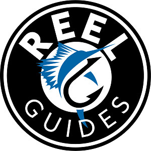 Reel Guides Fishing Charters