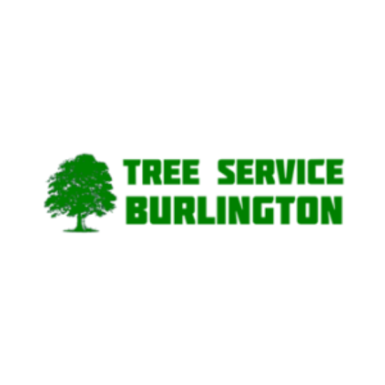 Tree Service Burlington
