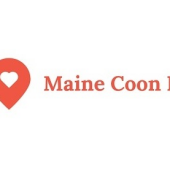 Maine Coon Finder