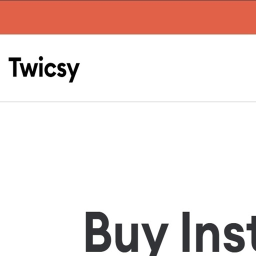 Buy Instagram Likes from Twicsy