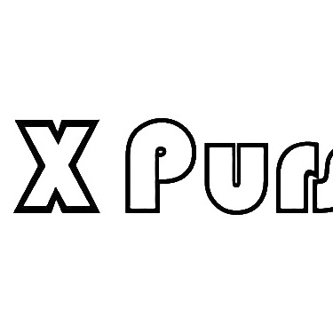 Xpurse replica designer bags