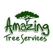 Amazing Tree Services
