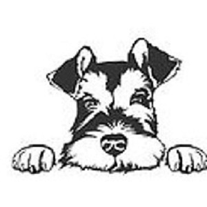 Jennifer Freedman Books