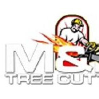 Bronx Lawn Cutting and Leaf Service